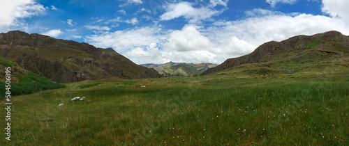 HUANCAVELICA, PERU - MARCH 23, 2023: Panoramic view of a natural landscape located near the city of Huancavelica. Blue sky, cumulus clouds, pampa and vegetation.