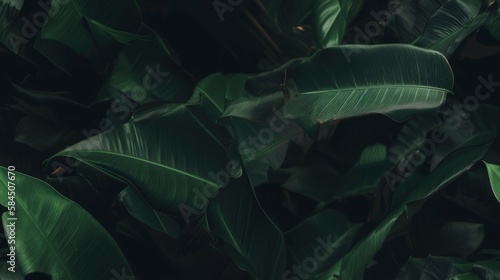 green banana leaves background, tropical jungle leaf forest seamless banner copy space, generative ai