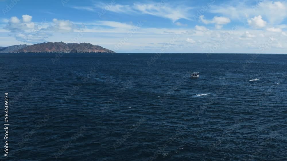 Two whales mating near boat in Guerrero negro bay. Whale watching tour in Baja California, Mexico. Bird eye view of whales in blue sea. Whale fountain. Gray Whale Family socialize, sex and rub against Two whales mating near boat in Guerrero negro bay. Whale watching tour in Baja California, Mexico. Bird eye view of whales in blue sea. Whale fountain. Gray Whale Family socialize, sex and rub against