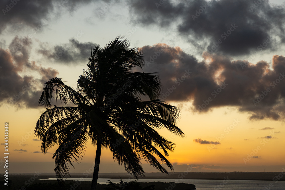 Tropical vacation landscape. Palm tree by the sea during sunset.