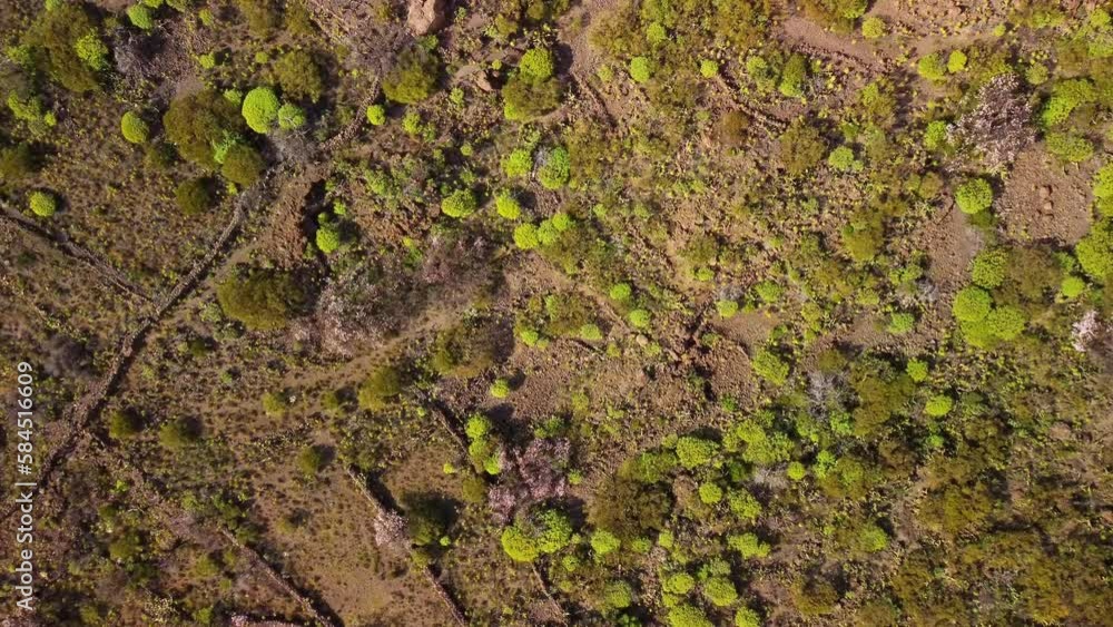 Descend, green natural areas from above, abstract patterns of nature Descend, green natural areas from above, abstract patterns of nature