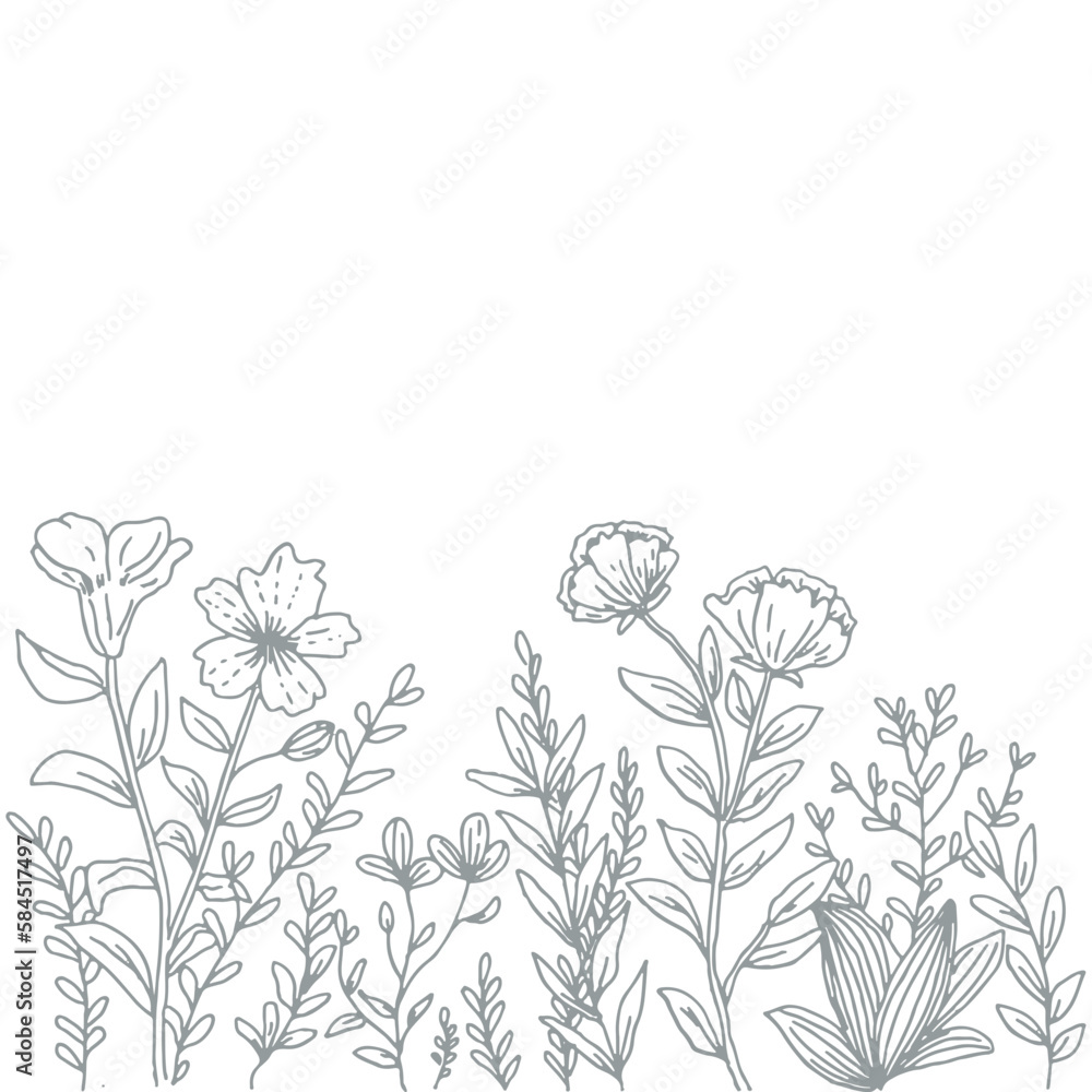 botanical ornament hand drawn botanical ornament hand drawn