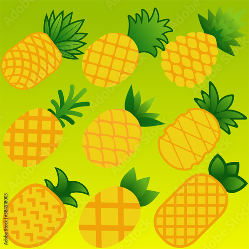 Pineapples icon set. Vector illustration of pineapple for fruit and food design. Graphic resources of fruits for vegetarian, healthy, diet, nutrition and tropical. Ananas comosus fruit illustration