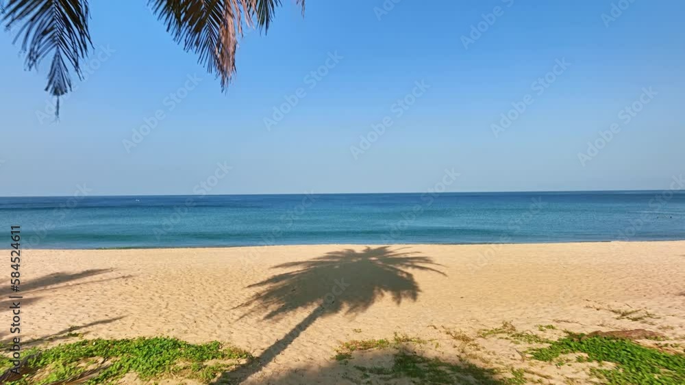 Coconut palm tree at the beach seashore, Sunny summer day clear blue sky, Amazing beach ocean, Summer sea landscape background Coconut palm tree at the beach seashore, Sunny summer day clear blue sky, Amazing beach ocean, Summer sea landscape background