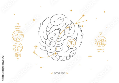 Scorpio zodiac sign with description of personal features. Astrology horoscope card with zodiac constellation on white background thin line vector illustration