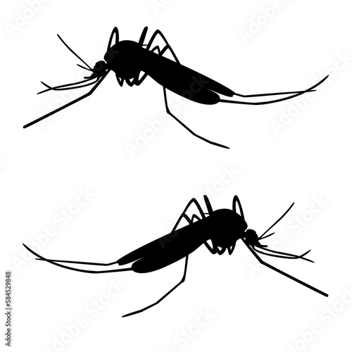 Vector image of mosquito silhouette on transparent background EPS 10 © Hermin studio