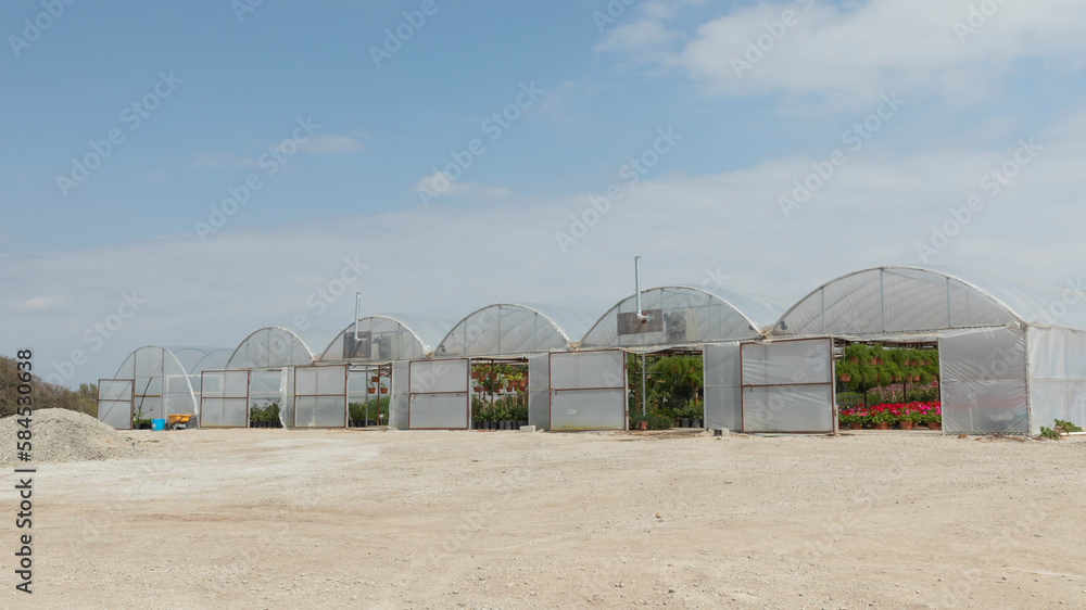Nursery. Beautiful garden shop ready for business. A row of plants offered for sale. Nursery. Beautiful garden shop ready for business. A row of plants offered for sale.