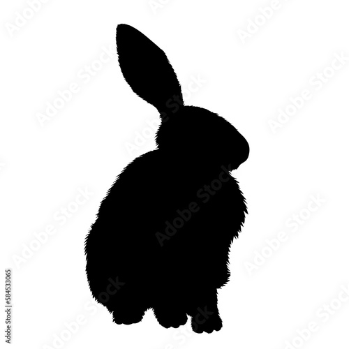 Illustration of sitting hare. Shape.
Hare graphic on transparent background. Illustrations of sitting hare. 
Animal illustrations.