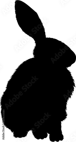 Illustration of sitting hare. Shape.
Hare graphic on transparent background. Illustrations of sitting hare. 
Animal illustrations.