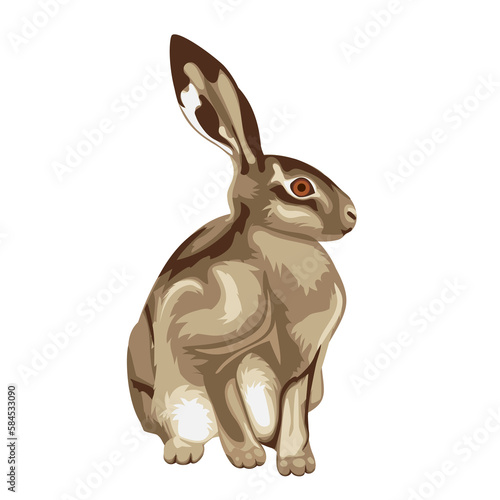 Illustration of sitting little hare. Illustrations of sitting hare. Animal illustrations.