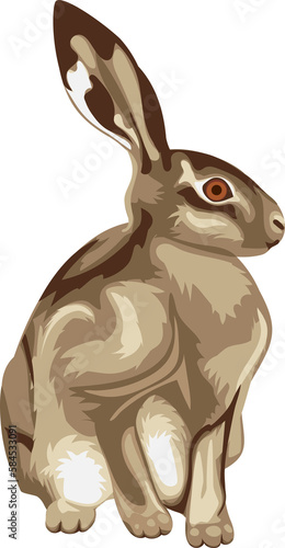 Illustration of sitting little hare. Hare graphic on transparent background. Illustrations of sitting hare. Animal illustrations.