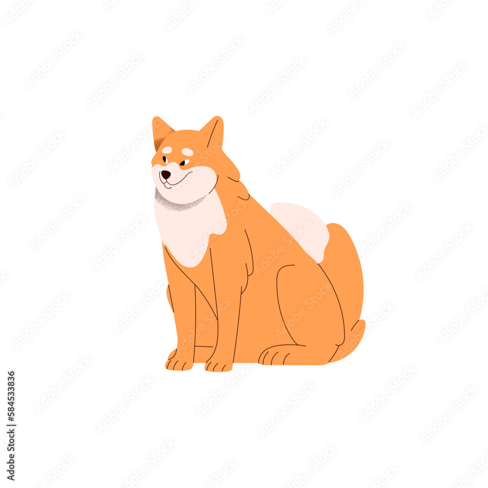 Happy Asian dog of Akita Inu breed. Cute Japan canine animal. Funny smiling doggy, charming bicolor Japanese pedigree. Adorable purebred puppy. Flat vector illustration isolated on white background