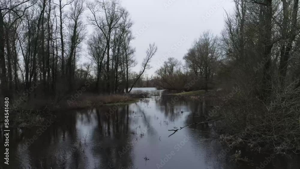 Fast backward going drone shot of swamp like water with trees. Fast backward going drone shot of swamp like water with trees.