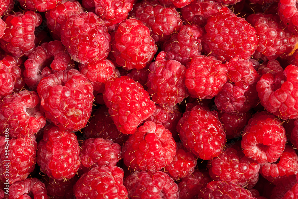 Red raspberries in close up photo. Raw fruits. healthy lifestyle Red raspberries in close up photo. Raw fruits. healthy lifestyle