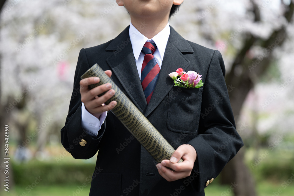 Photo of a diploma and cherry blossoms, easy to use for graduation and entrance images for elementary and junior high schools. Photo of a diploma and cherry blossoms, easy to use for graduation and entrance images for elementary and junior high schools.