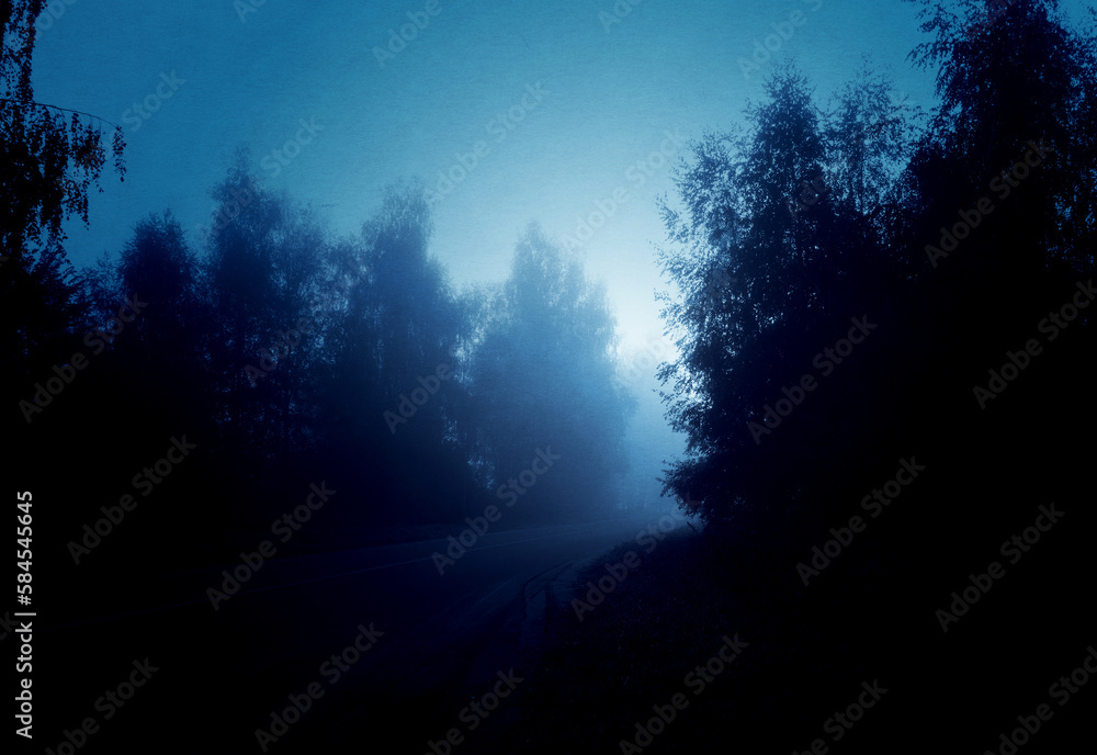 Naklejka premium Night foggy forest road