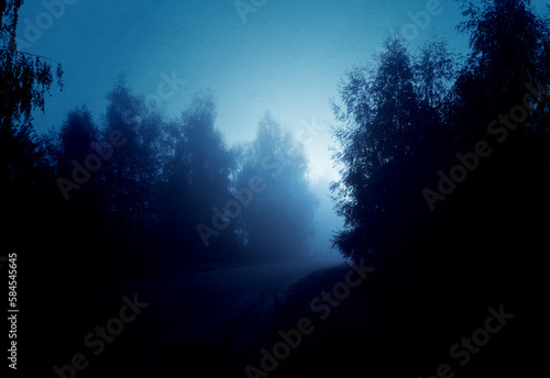 Night foggy forest road © AnnaPa