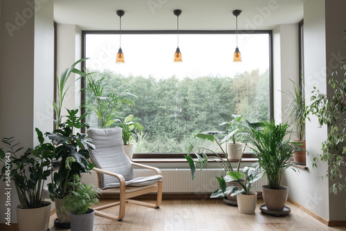 Urban jungle apartment. Grey armchair near big panoramic window  indoor plants  monstera  palm trees. Biophilia design. Cozy tropical home garden. Eco friendly decor of living room.