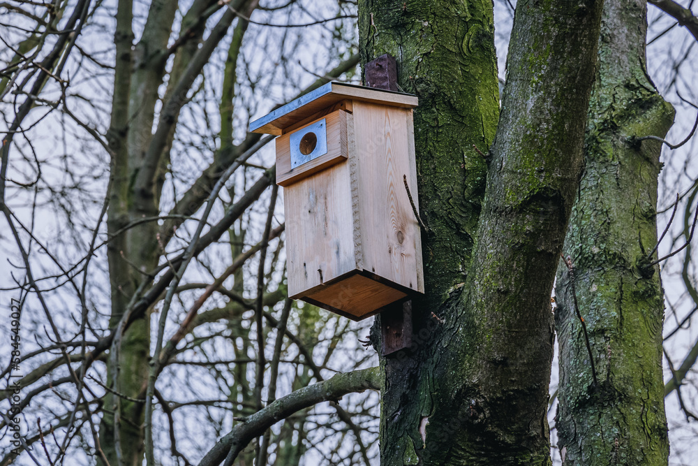 Wooden bird house on a tree in Szczesliwicki Park in Warsaw city, Poland