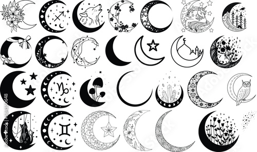 Valokuva Vector line art set of moon and plants crescent moon doodle