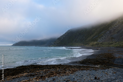 Wild, rugged Red Rocks on the South Coast of Wellington, New Zealand Aotearoa, atmospheric, foggy landscape