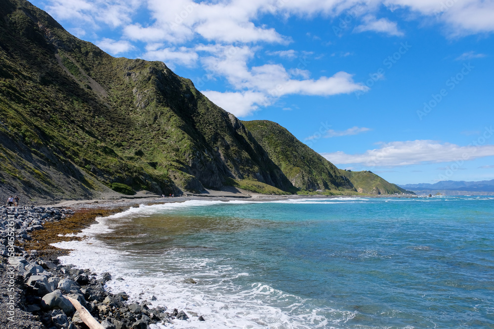 Stunning turquoise blue ocean and rugged hilly landscape of Red Rocks on the South Coast of Wellington, New Zealand Aotearoa Stunning turquoise blue ocean and rugged hilly landscape of Red Rocks on the South Coast of Wellington, New Zealand Aotearoa
