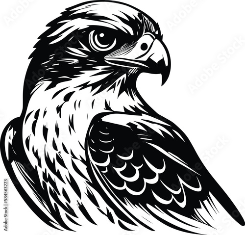 Falcon Logo Monochrome Design Style
 photo
