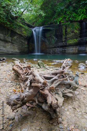 There is a big driftwood in front of Wanggu Waterfall. The mountain forest secret place, the lake is dreamy emerald green. Pingxi, New Taipei City.