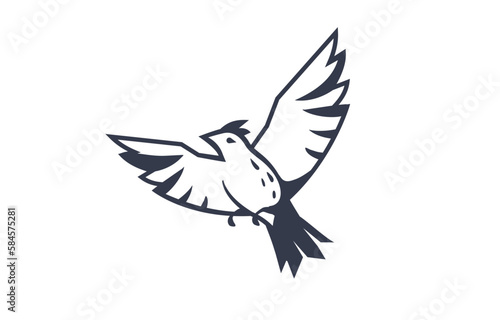 Vector illustration of beautiful flying bird on white color background. Black and white line art style design of bird with wing
