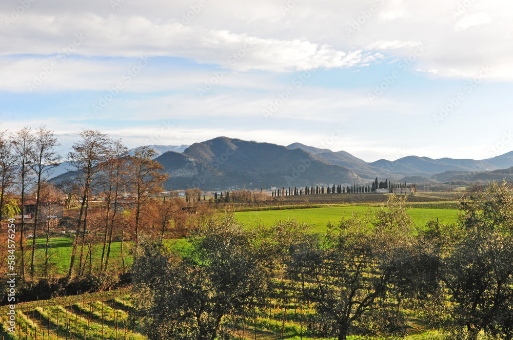 Franciacorta, vigneti e colline in primavera - Brescia	