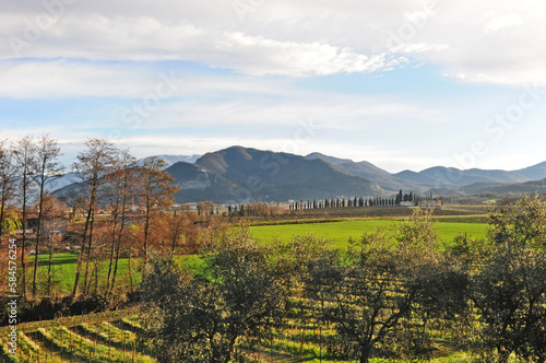 Franciacorta  vigneti e colline in primavera - Brescia 