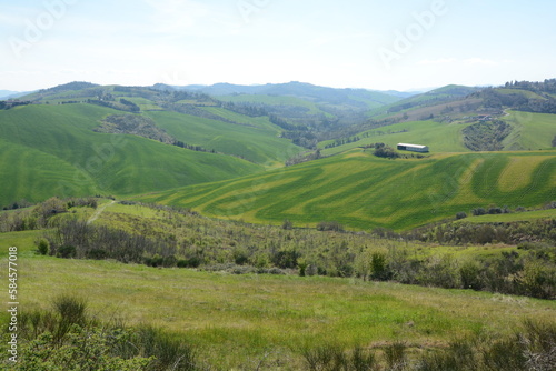 colline sopra a predappio campi di erba tagliati a tornanti con effetti di varie tonalità di colore