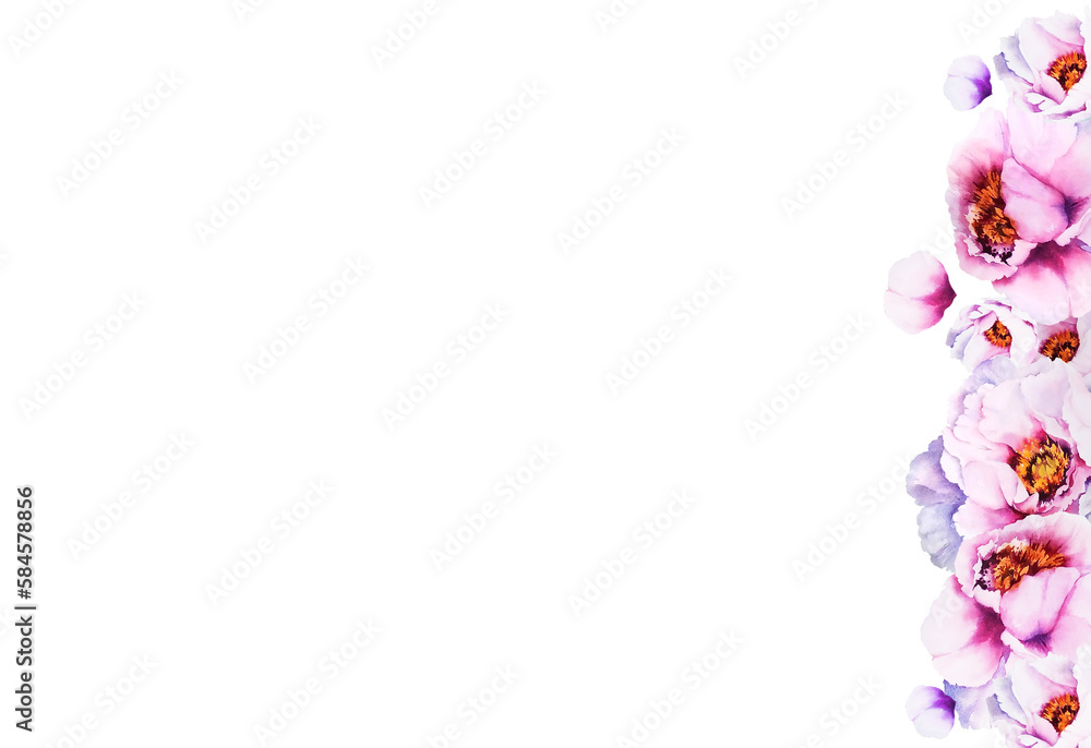 white background with watercolour pink peones, spring flowers, hand drawn sketch white background with watercolour pink peones, spring flowers, hand drawn sketch