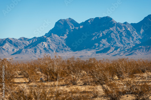 Mountains and Brush Lands at Mojave National Preserve
