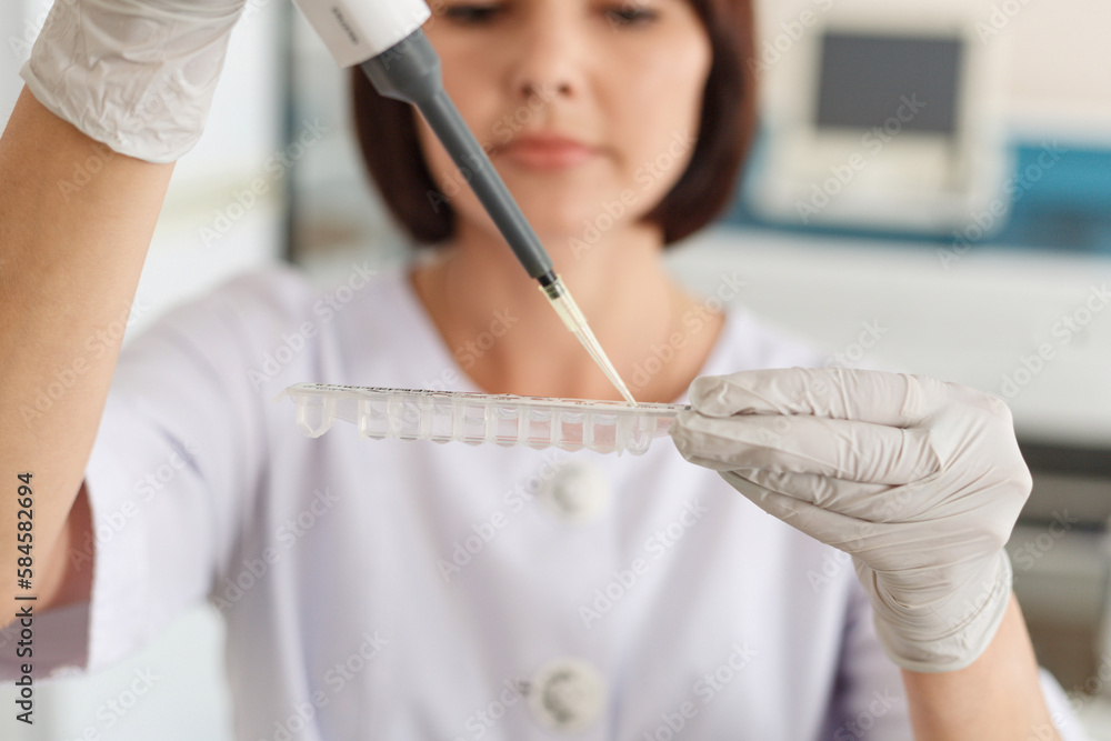 Female biotechnology medical scientist using working with micro pipette pipetting loads liquid sample in laboratory Female biotechnology medical scientist using working with micro pipette pipetting loads liquid sample in laboratory
