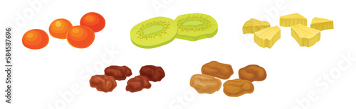 Sun Dried Fruit as Food with Sweet Taste and Nutritive Value Vector Set
