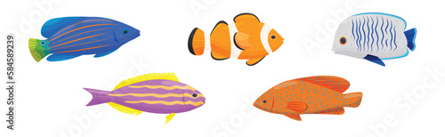 Exotic Tropical Fish of Different Shapes and Colors Vector Set