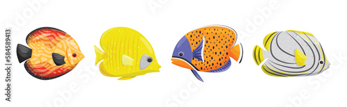 Exotic Tropical Fish of Different Shapes and Colors Vector Set