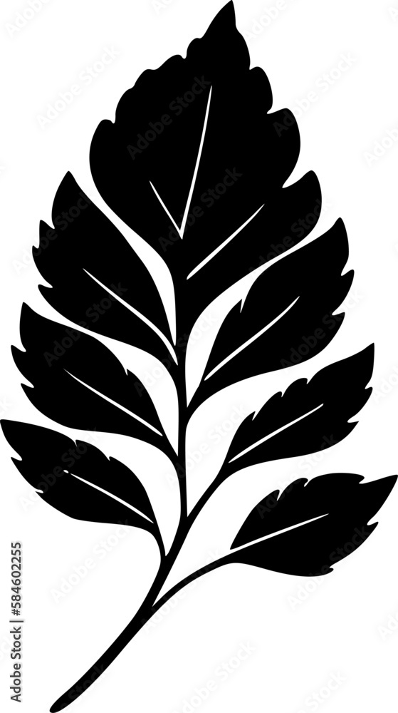 Leaf | Minimalist and Simple Silhouette - Vector illustration