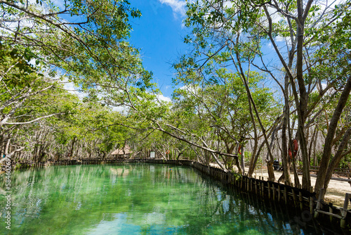 El Corchito Ecological Reserve Mexico