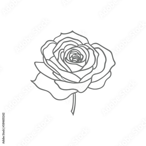 Nice Roses  Vector artwork coloring page, coloring book, black outline hand drawn sketch. Vector element for natural, wedding design, plant, botanical illustration, coloring book, line art.