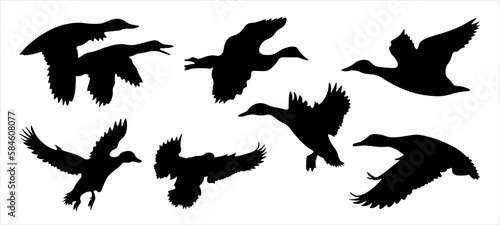 Wildlife Duck animals hunting hunt icons symbol set collection vector illustration - Black silhouette of different flying mallard ducks, isolated on white background
