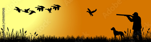 Wildlife duck animals hunting hunt panorama vector illustration - Black silhouette of hunter with rifle gun and dog in reed bog shoots at flying mallard ducks, morning sunrise sky