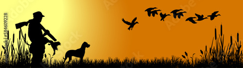 Wildlife duck animals hunting hunt panorama vector illustration - Black silhouette of hunter with rifle gun and dog in reed bog shoots at flying mallard ducks, morning sunrise sky