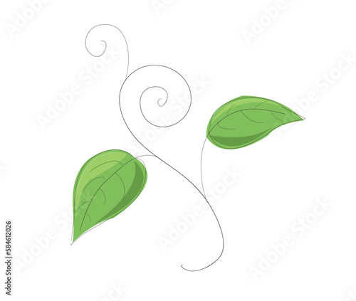 An illustration of tendrils and leaves.