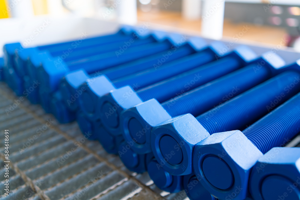 Fototapeta premium Petroleum industrial metal bolts for replacement of worn out bolts with metric threads.