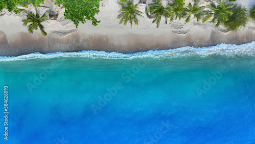The tropical Summer with wave water as white sand beach and palm trees background