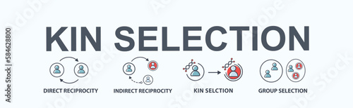 Kin selection theory Kin selection theory banner web icon for Mechanisms of Natural selection, Direct, Indirect reciprocity, Kin selection and Group selection. Minimal flat cartoon vector infographic.