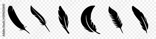 Set of black feather icon. Black feather collection