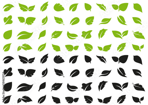 Set of plant leaf in different style in a flat design